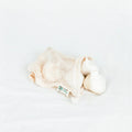 Organic Cotton Mesh Produce Bags
